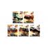 Hot Wheels Car Culture Desert Rally 